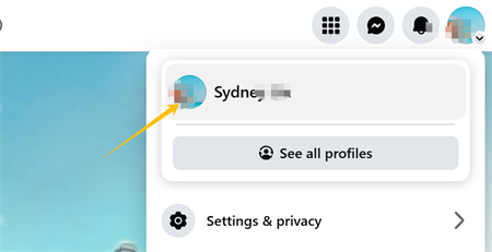 फेसबुक पर प्रोफ़ाइल तस्वीर पर क्लिक करें