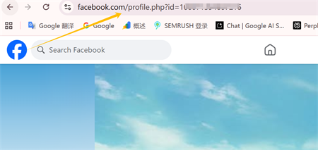 फेसबुक प्रोफ़ाइल लिंक